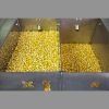 Попкорн-аппарат автомат. ROBOLABS ROBOPOP 60