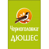 Концентрат для напитка ЧЕРНОГОЛОВКА Дюшес, 10л, BIB